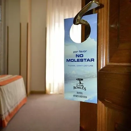 Hotel Robles *